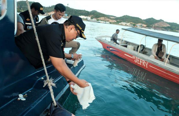 Penyelundupan Gagal: 49.463 Benur Lobster Dilepasliarkan oleh Bea Cukai Batam