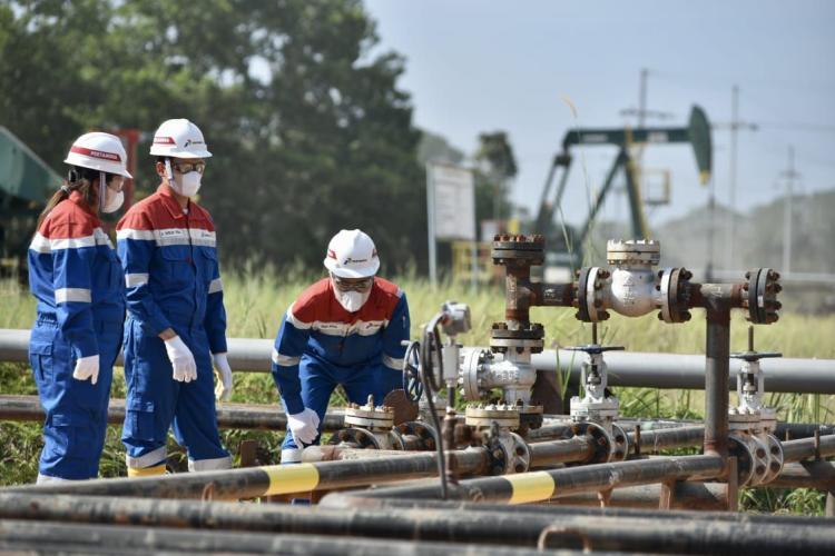 Rekor Tertinggi Produksi Minyak: PHR Capai 169 Ribu BOPD di WK Rokan