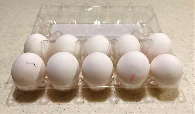 Badan Pangan Singapura Tarik Telur Asal Ukraina dari Peredaran: Ditemukan Bakteri Salmonella