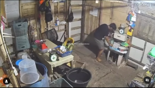 Viral di Media Sosial: Aksi Pencurian Uang Kotak Infak Warung di Tanjungpinang