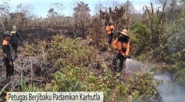 Peringatan Bahaya Karhutla: Titik Panas Terdeteksi di Riau dan Kepulauan Riau