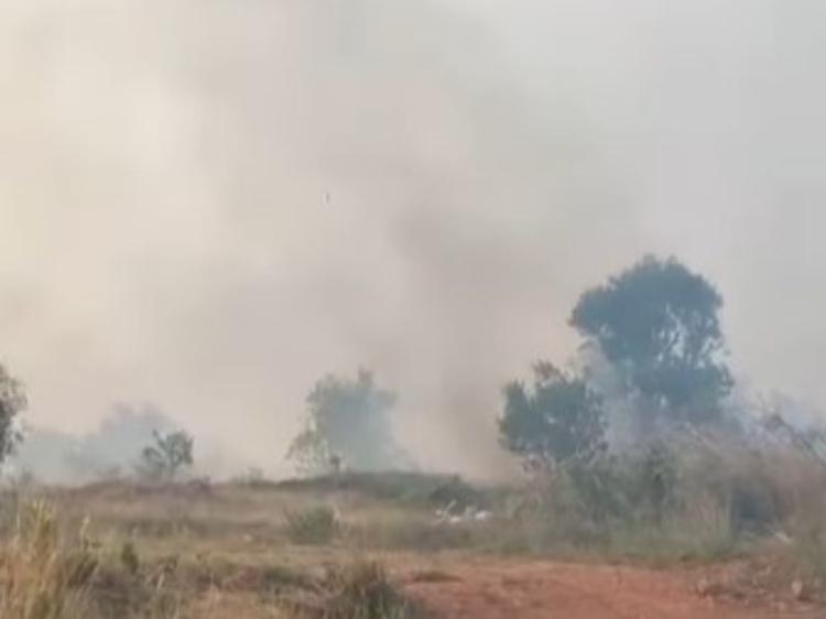 Kebakaran Lahan di Kota Tanjungpinang: 15 Titik Terdeteksi Hingga Pertengahan Bulan