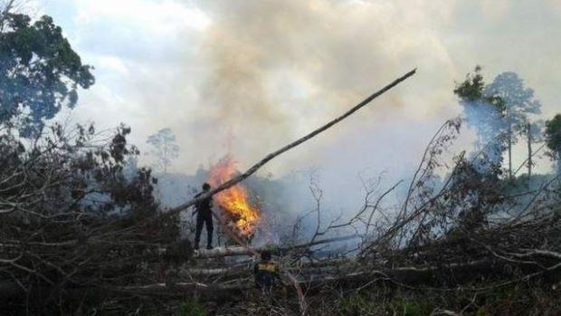 Manusia Penyebab Utama Karhutla di Jambi, Dansatgas: "Masih Banyak yang Suka Membakar Lahan"