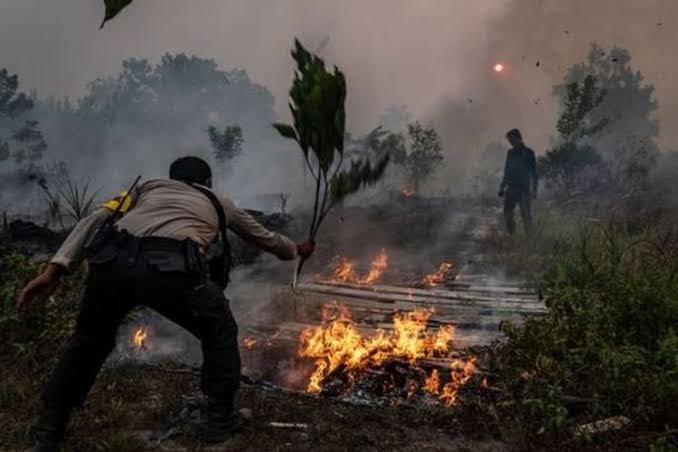 Intensitas Hujan Rendah, 14 Titik Panas Terpantau di Riau