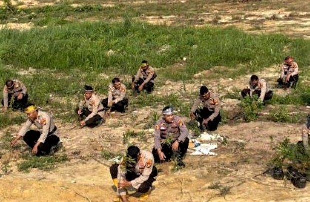 Polres Pelalawan Tanam 3.200 Pohon untuk Pelestarian Lingkungan: Inisiatif "Polri Lestarikan Negeri"