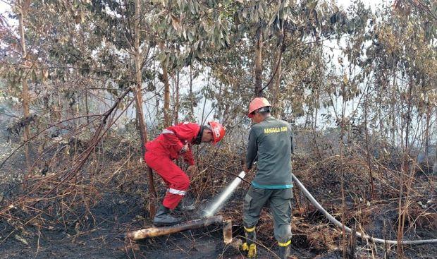 Kebakaran Lahan Gambut Tiga Meter di Kampar, Siswa SMPN 8 Dipulangkan
