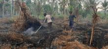 Masyarakat dan Kepolisian Berjibaku Memadamkan Kebakaran Hutan dan Lahan di Pelalawan