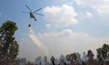 Nyaris 1.000 Hektare Lahan di Riau Terbakar Sepanjang Januari-Juli 2023