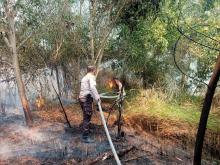 Lahan di Meral Barat Terbakar, TNI-Polri Berjibaku Padamkan Api