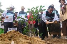 Kwartir Daerah Pramuka Kepri Hebohkan Hari Pramuka ke-62 dengan Penanaman 750 Bibit Pohon