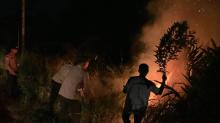 Kebakaran Hanguskan Lahan 1,5 Hektare di Tebing Karimun