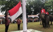 Unik! Gajah-gajah Hebat Kibarkan Bendera Merah Putih saat HUT Ke-78 RI di Riau