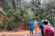 Pasca Longsor dan Pohon Tumbang  di Bungus, Jalan Padang-Painan Kembali Dibuka Khusus Kendaraan Pribadi