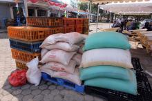 Bantuan Sarana Produksi Mendorong Kemajuan Petani, Peternak, dan Pembudidaya Ikan di Tanjungpinang