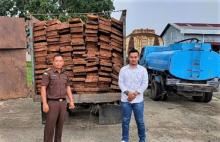 Vonis Ringan untuk Illegal Logging: Kejari Dumai Ajukan Banding atas Putusan 1 Tahun Penjara