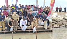 Restocking Laut Karimun: 47.000 Benih Ikan Ditebar untuk Mendukung Pemulihan Perikanan