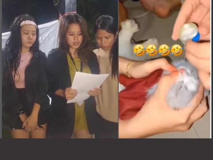 Perempuan Ini Minta Maaf Setelah Viral Video Memberikan Minuman Keras ke Kucing