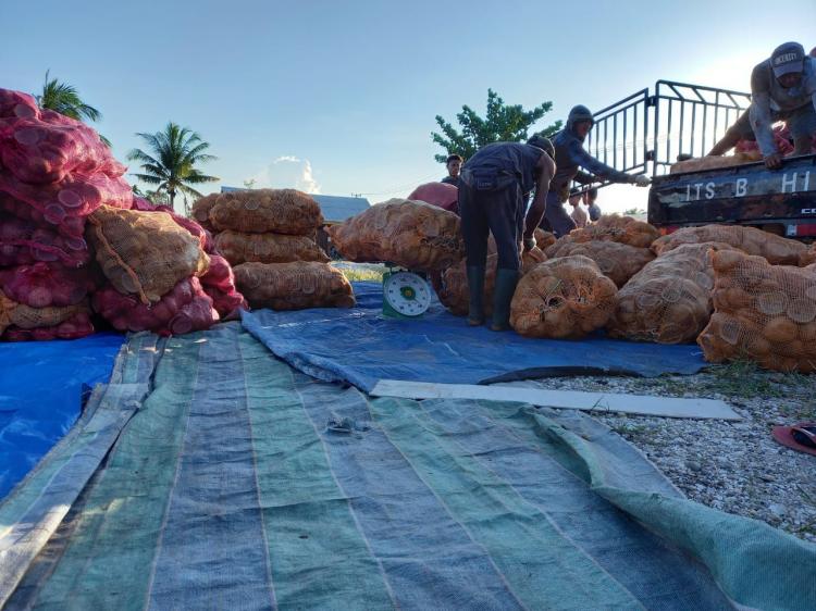 Update Harga Hasil Perkebunan di Riau, Pinang Kering Turun Jadi Rp5.600 Per Kg