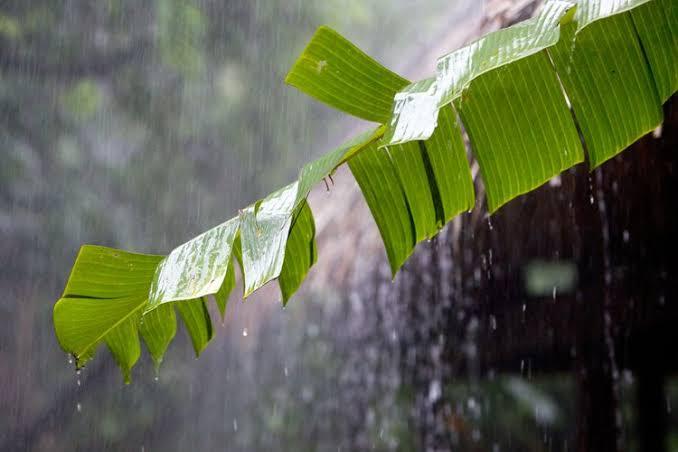 Cuaca Hari Ini di Tanjungpinang Diperkirakan Hujan Ringan Siang Hari