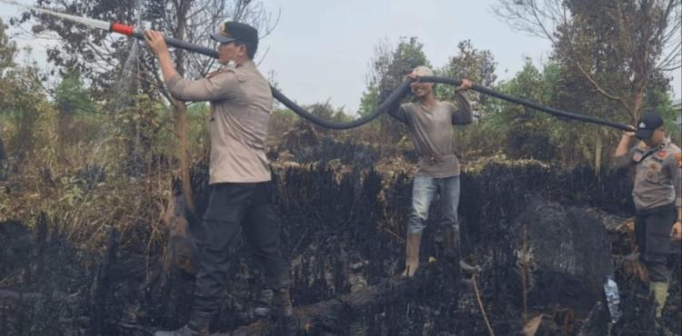 Tim Gabungan Berhasil Padamkan Karhutla di Pelalawan Riau