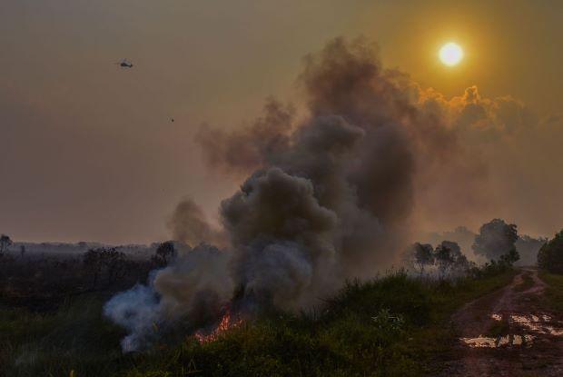 Kebakaran Hutan dan Lahan Picu Krisis Kualitas Udara: Palembang Masuk Kategori Sangat Tidak Sehat