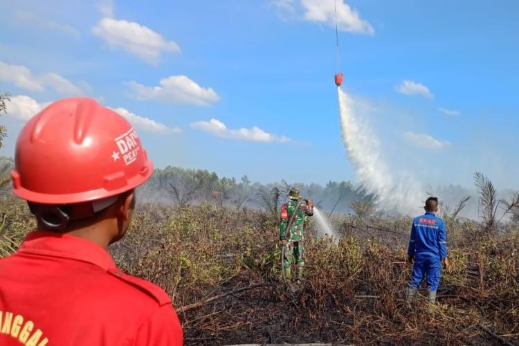Riau Semakin Panas, Hari ini 200 Titik Panas Terdeteksi BMKG 