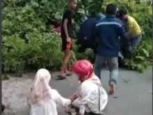 Pohon Tumbang di Jalan Adi Sucipto Kota Tanjungpinang, 5 Pengendara Tertimpa 