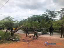 Warga Rempang Batam Tebang Pohon Blokir Jalan Raya Adang Aparat