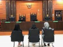 Terbukti Mencecoki Kucing dengan Minuman Keras, 3 Mahasiswi di Padang Divonis Percobaan Penjara 2 Bulan
