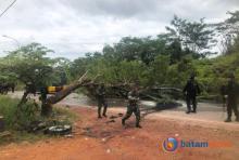 Konflik Pengembangan Pulau Rempang di Batam: 5 Fakta Penting yang Perlu Diketahui