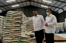 Penyaluran Bantuan Beras Tahap Kedua Dimulai: 7.400 KPM di Tanjungpinang Terima Manfaat