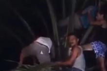 Seorang Pria di Riau Meninggal Dunia saat Berburu Ayam Hutan