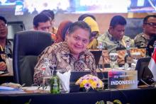 Menko Airlangga Tekankan Integrasi Kawasan dan Sinergi di  Peringatan 30 Tahun IMT-GT