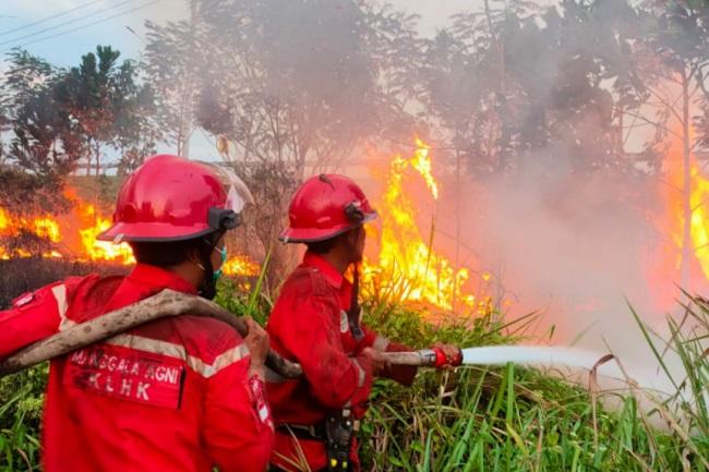 Total 1.262 Titik Panas Menghantui Sumatera, 21 Titik Terpantau di Riau