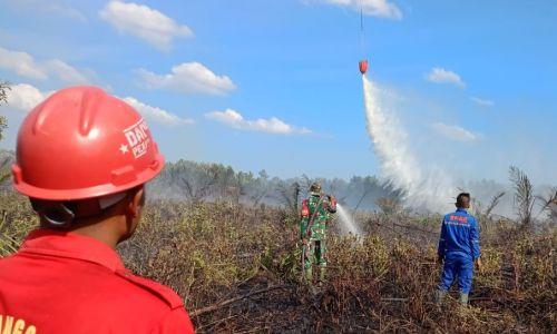 BMKG: 60 Titik Panas Mengancam Riau, Kebakaran Hutan Mengintai