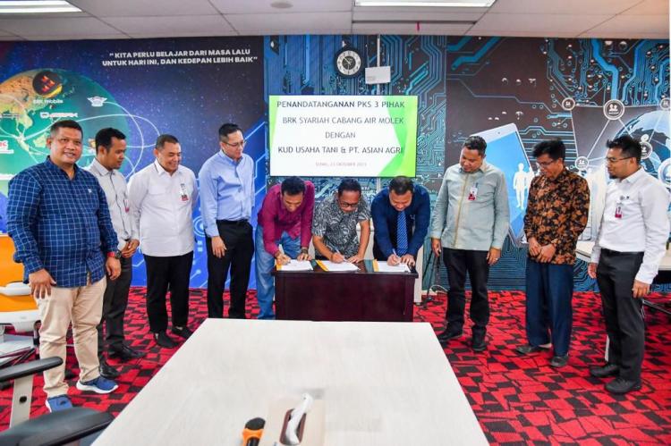 BRK Syariah Alokasikan Pembiayaan Replanting Untuk 178 Hektar Kebun Sawit di Desa Air Putih