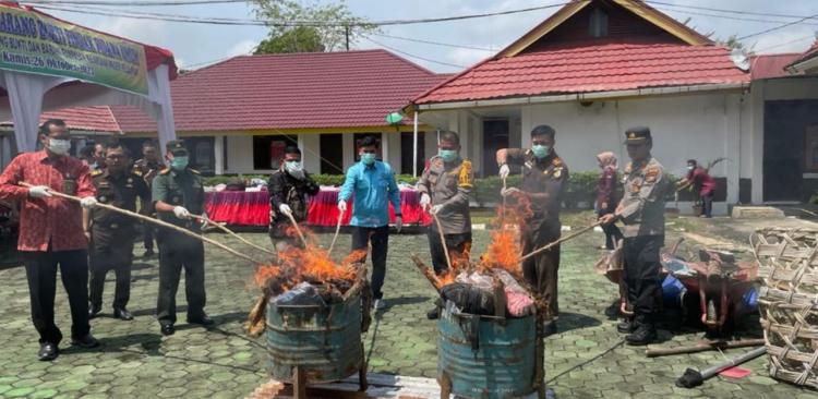 Kejari Pelalawan Musnahkan Ganja, Sabu hingga Kulit Harimau