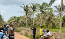 Serangan Hama Hantui Kebun Kelapa di Kecamatan Ungar Karimun