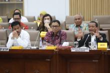 RDP Bareng Komisi VI DPR RI, BP Batam Update Progress Investasi Rempang Eco-City