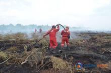 Polda Riau Amankan 34 Pelaku Pembakaran Lahan di Beberapa Daerah, Berikut Rinciannya