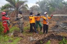 Langkah Pemprov Riau hadapi Kebakaran Hutan yang Capai Ribuan Hektare
