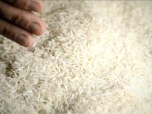 Beredar Video Penggantian Karung Beras Bulog jadi Beras Premium