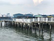 Hingga Agustus 2023, Segini Jumlah Kunjungan Wisman ke Kota BatamÂ 