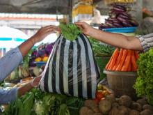 Ini Harga Sayur Paling Mahal di Tanjungpinang: Cek Harga dan ManfaatnyaÂ 