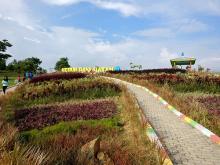 Kebun Raya Batam: Destinasi Wisata Gratis di Kota Batam Senilai Rp 24 Miliar