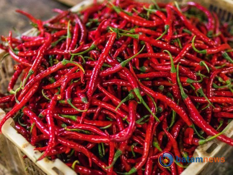Harga Cabai Merah di Batam Capai Rp 65.000 per Kilogram, Konsumen Resah