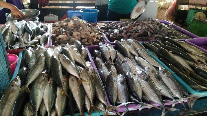 Rahasia Dapur Para Chef Berbintang, Begini Cara Memilih Ikan Segar yang Tepat