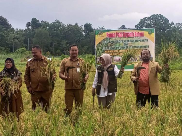 Dinas Ketahanan Pangan dan Pertanian Natuna Berencana Maksimalkan Dua Bendungan Kelarik dan Tapau 