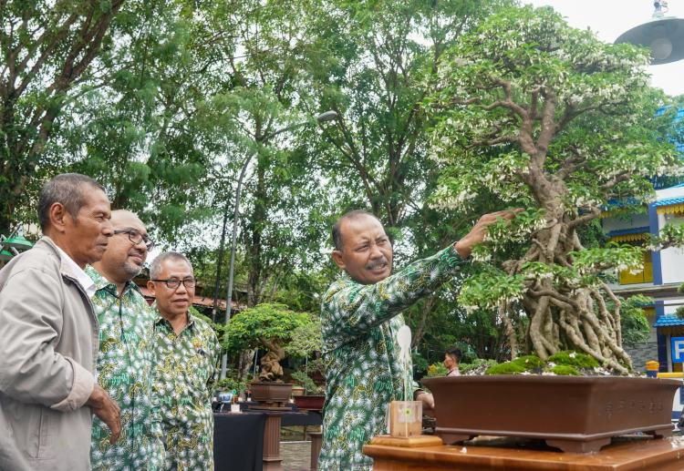 Sekdaprov Kepri Buka Pameran dan Kontes Bonsai Nasional, Ajang Tingkatkan Rasa Cinta Lingkungan