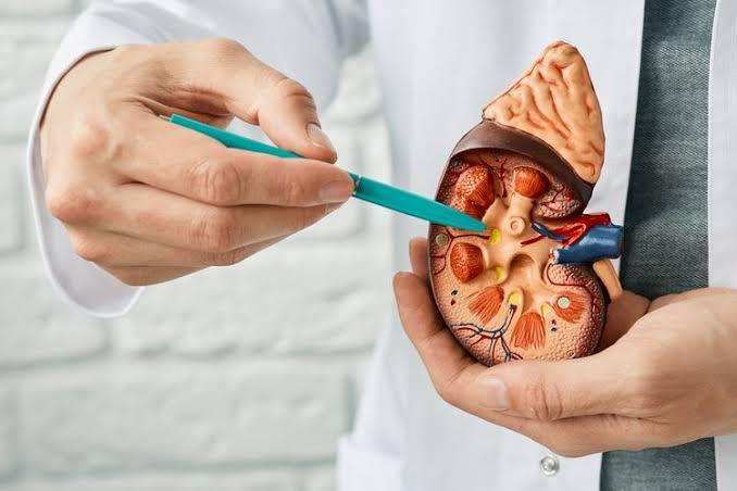 Jangan Sepelekan! Ini 9 Tanda Peringatan Dini Gangguan Ginjal
